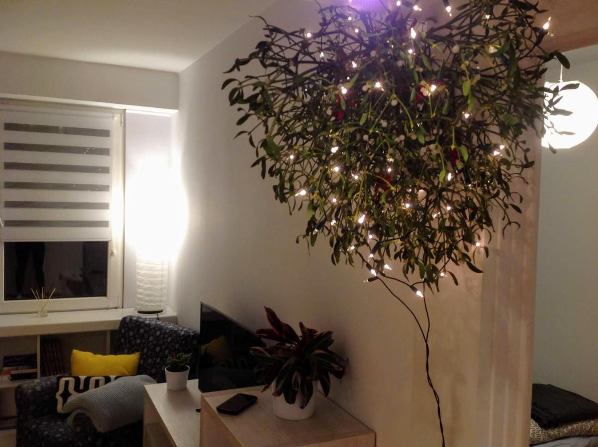 Apartament Usmiech Плоцк Экстерьер фото